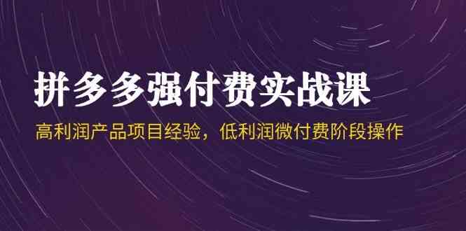 拼多多强付费实战课-44期，高利润产品项目经验，低利润微付费阶段操作项目拆解-自媒体创业-工具使用友道副业网