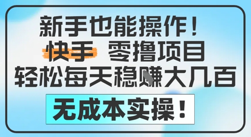 新手也能操作，快手零撸挣米，轻松每天挣2-5张，完全无成本项目拆解-自媒体创业-工具使用友道副业网